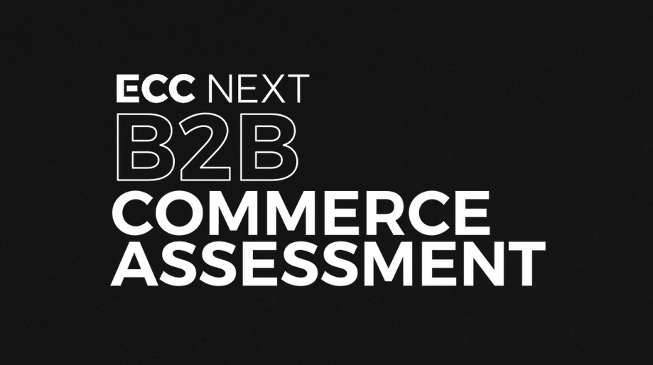 Die Abbildung zeigt die Oberfläche des B2B Commerce Assessment Center von ECC NEXT.
