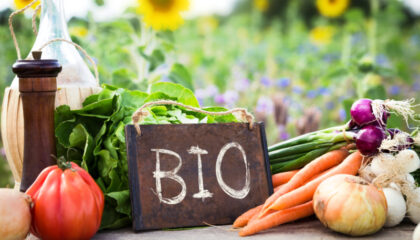 Die Abbildung zeigt Gemüse vor einem Bio Schild.